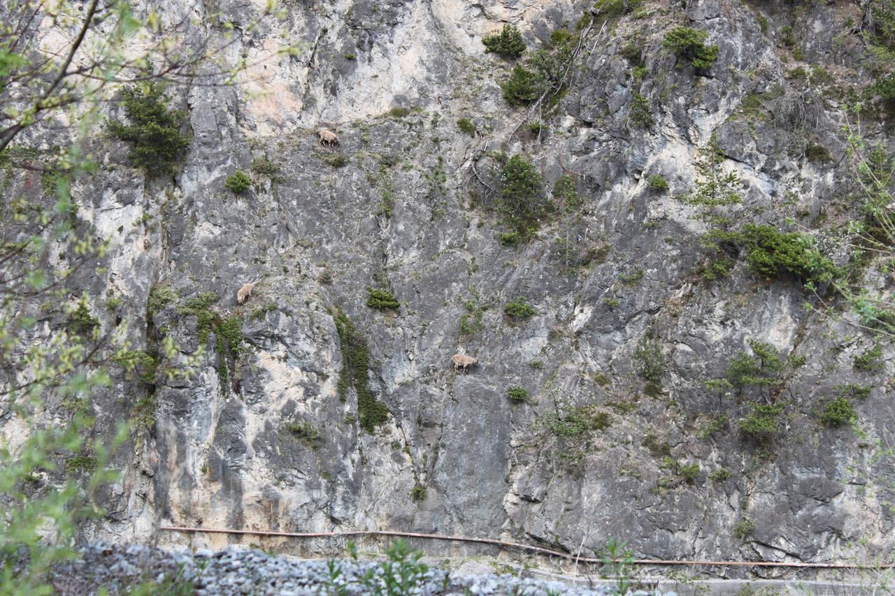 Apartamento Al Bait De Gio Bormio Exterior foto